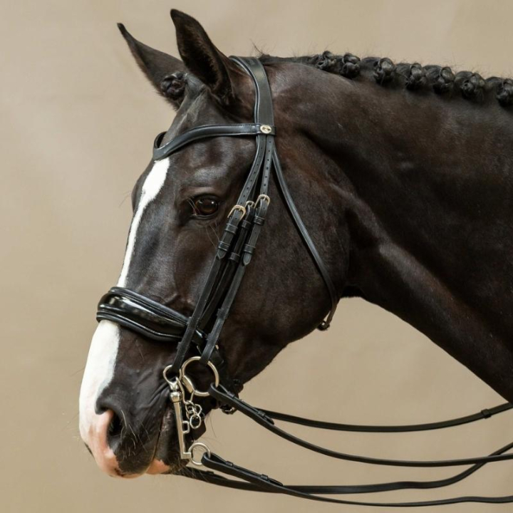 Kandarträns Lack Working Collection Svart i gruppen Hästutrustning / Träns & Pannband / Kandarträns & Dressyrträns hos Horseonline AB (WOECASSv_r)
