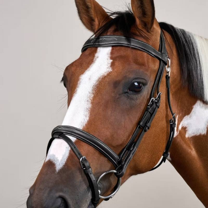 Träns Kombinosgrimma WC Svart i gruppen Hästutrustning / Träns & Pannband / Träns hos Horseonline AB (WOJBHASv_r)