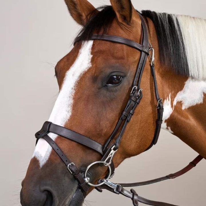 Träns Slät Nosgrimma WC Brun i gruppen Hästutrustning / Träns & Pannband / Träns hos Horseonline AB (WOJOGJBr_r)