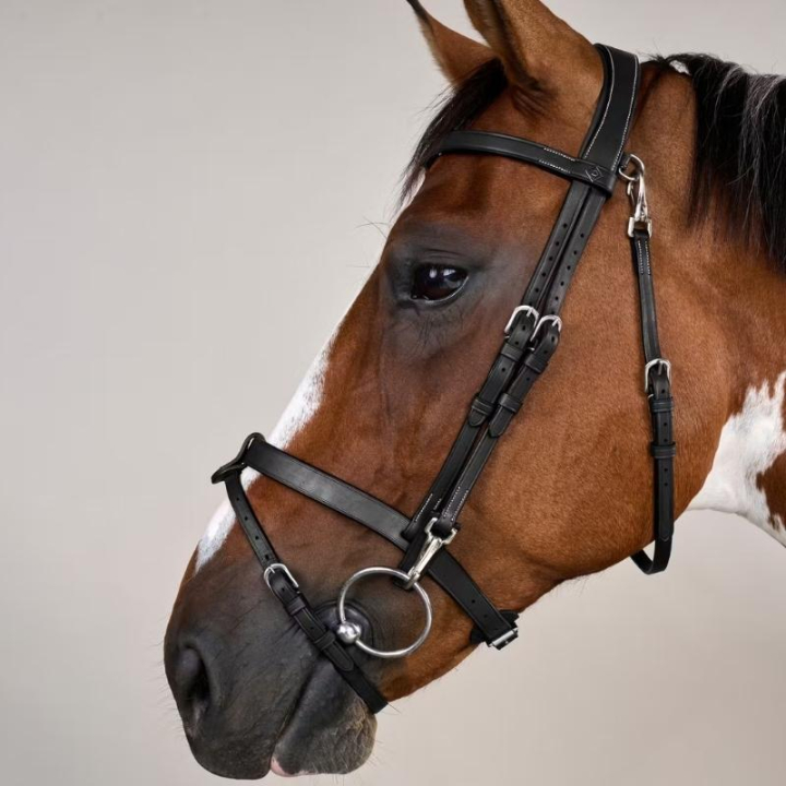 Träns Slät Nosgrimma WC Svart i gruppen Hästutrustning / Träns & Pannband / Träns hos Horseonline AB (WOJOGJSv_r)