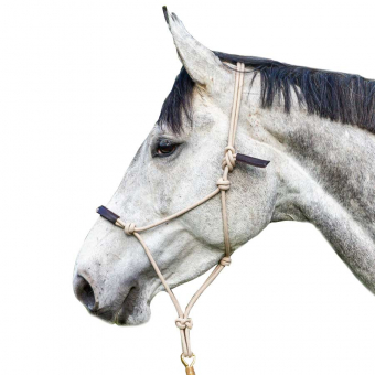 Repgrimma LCC Natur/Brun