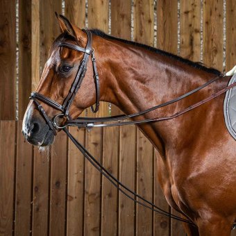 Gramantygel Läder 13mm WC Brun Full i gruppen Hästutrustning / Tyglar / Inspännings- & Hjälptyglar hos Horseonline AB (0510076100201BR-F)