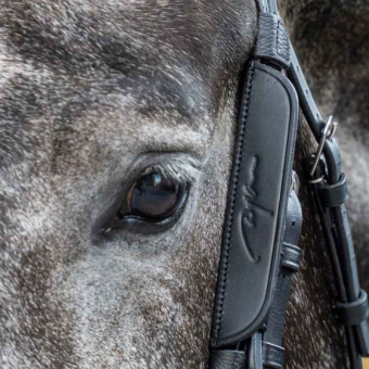 Fokus / Blinkers 2-pack Svart
