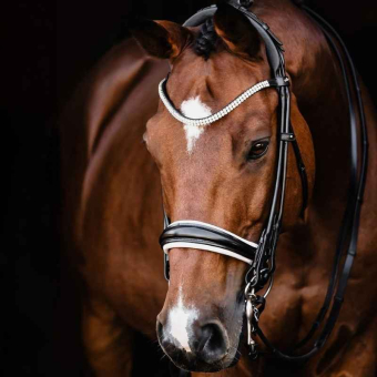 Kandarträns Isabell Werth Bella Rose Svart/Vit