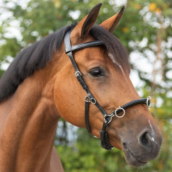 Kapson Leather Svart