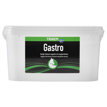 Gastro 3000g