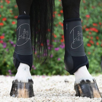 Dressyrskydd Absolute Rear Velcro Svart