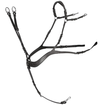 Anatomisk Förbygel med Martingal Svart/Silver