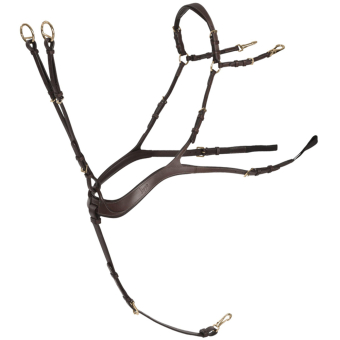 Anatomisk Förbygel med Martingal Chocolate/Guld