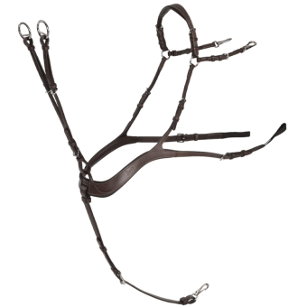 Anatomisk Förbygel med Martingal Chocolate/Silver