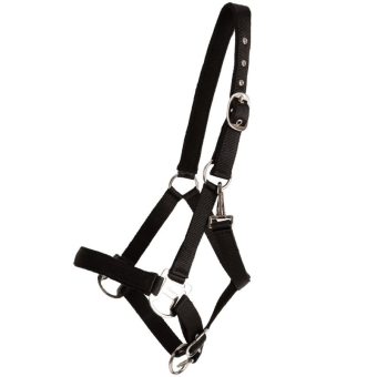 Grimma Double Buckle Svart