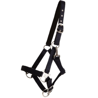 Grimma Double Buckle Marinblå