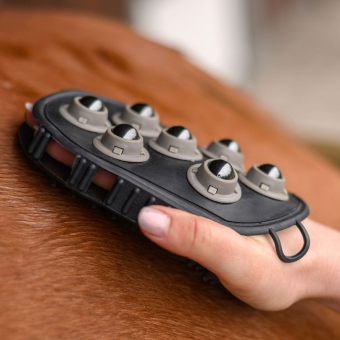 Groomingborste Massage Svart