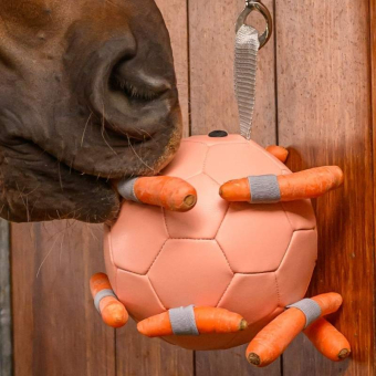 Hästleksak Carrot Ball Rosa