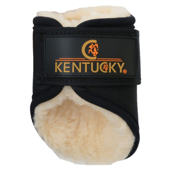 Damasker Solimbra Hind Short Svart