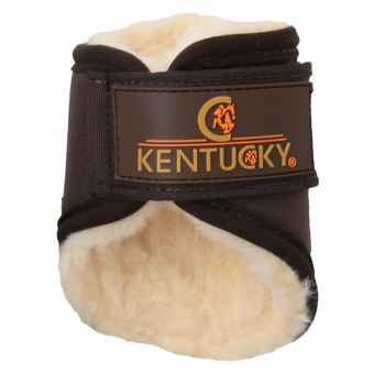 Damasker Solimbra Hind Short Brun