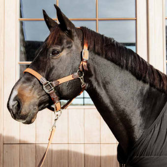 Grimma Plaited Nylon Orange