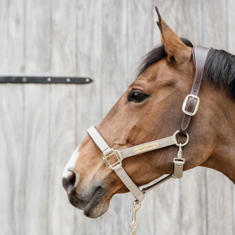 Grimma Anatomic Nylon Beige