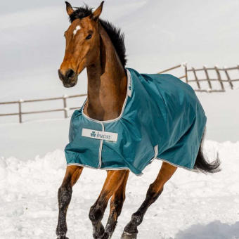 Vintertäcke Atlantic Turnout 400g Grön