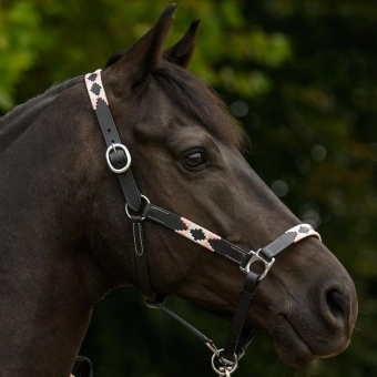 Lädergrimma Polo X-Line Svart/Rosa