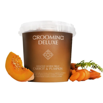 Hästgodis Healthy Horse Treats Carrot & Pumpkin 500g