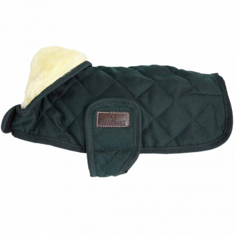 Hundtäcke Original Grön