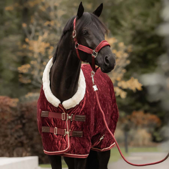 Tävlingstäcke Velvet Bordeaux