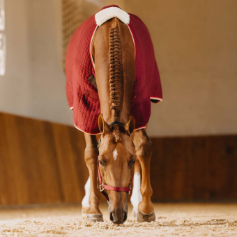 Coolertäcke PROTherm Vinröd