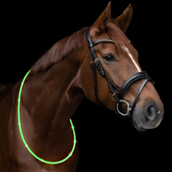 Halsring LED Light Grön