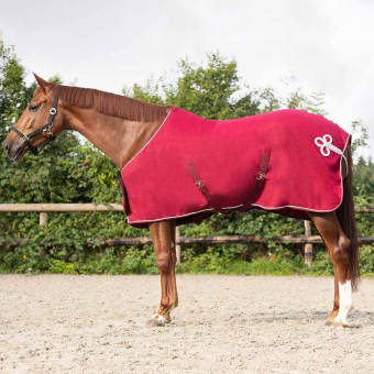 Fleecetäcke Ornament Vinröd/Silver