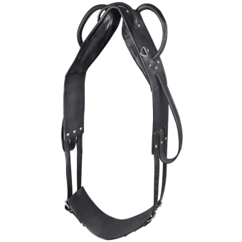 Voltigegjord Leather Svart