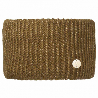 Pannband Sparkle Guld