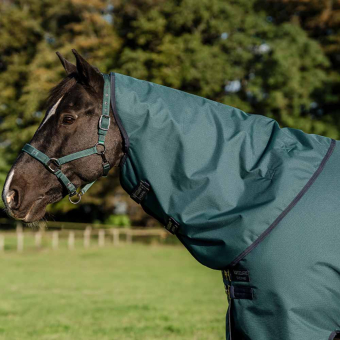 Hals Amigo Ripstop 900D 0g Grön/Marinblå/Silver