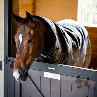 Stalltäcke Amigo Insulator Ripstop 210D Plus 200g Svart/Silver