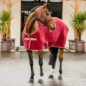 Fleecetäcke Amigo Cooler Röd/Beige