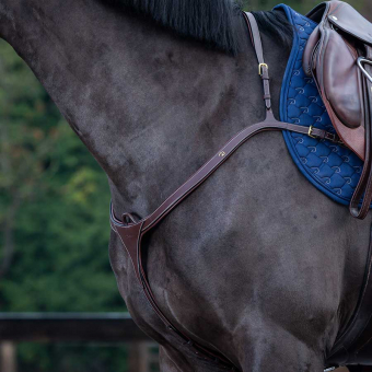 Brösta med lång brygga DC Brun