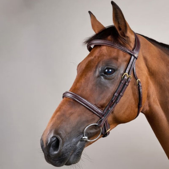 Träns utan Snokrem Plaited Dyon Collection Brun