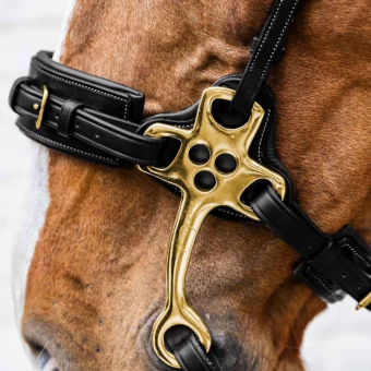 Hackamore Dyon Collection Svart