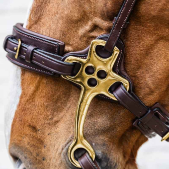 Hackamore Dyon Collection Brun