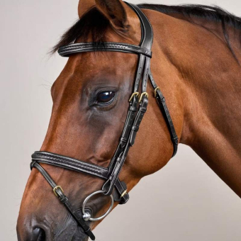 Träns Kombinosgrimma Plaited Dyon Collection Svart