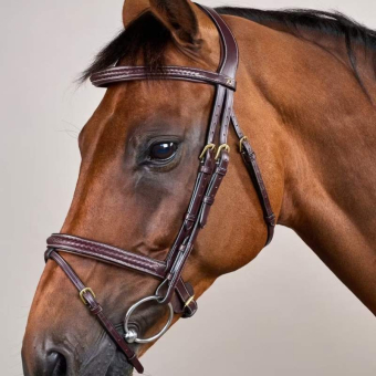 Träns Kombinosgrimma Plaited Dyon Collection Brun