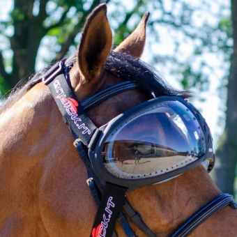 eVysor Transparent