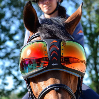 eVysor Mirrored Rainbow 