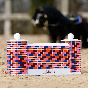 Puissance Wall Toy Pony Flerfärgad
