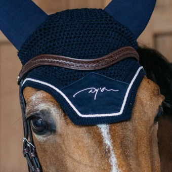 Pannband V-form Plaited New English Collection Brun