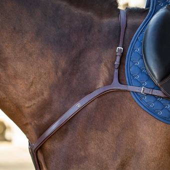 Brösta med lång brygga NE Brun