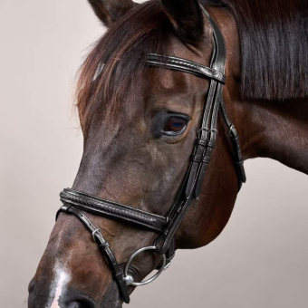 Träns Kombinosgrimma Plaited New English Collection Svart