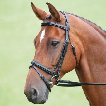 Träns + Tygel Salisbury Bodenham Svart
