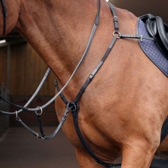 Förbygel med Martingal Rapida Svart