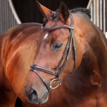 Träns LUSSO Elite Brun